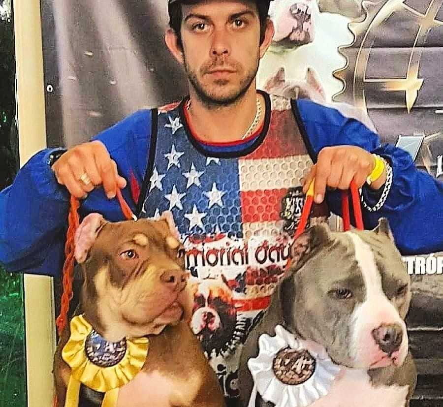 American Bully Landing Hero Top Image