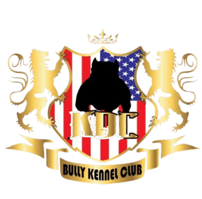 Logo KDC Bully Kennel